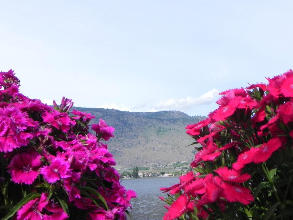 Destiny Beach Resort Osoyoos Esterno foto